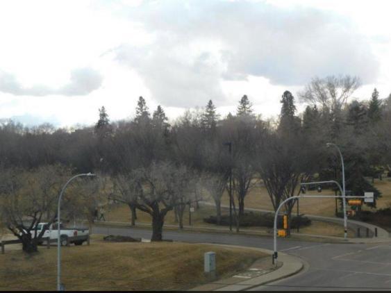 Downtown River Valley Bachelor Suite Condo, Non Smoking, 12 Inches Queen Bed, Beautiful Minimalist, Very Convenient Every Where Edmonton Exterior foto